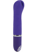 Lia Encaser Silicone Vibrator - Purple